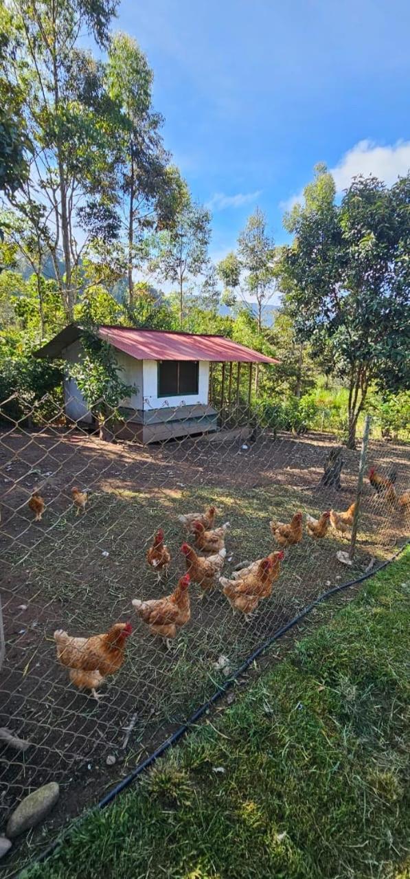 Hassinger Ranch Cabanas 奥克萨潘帕 外观 照片