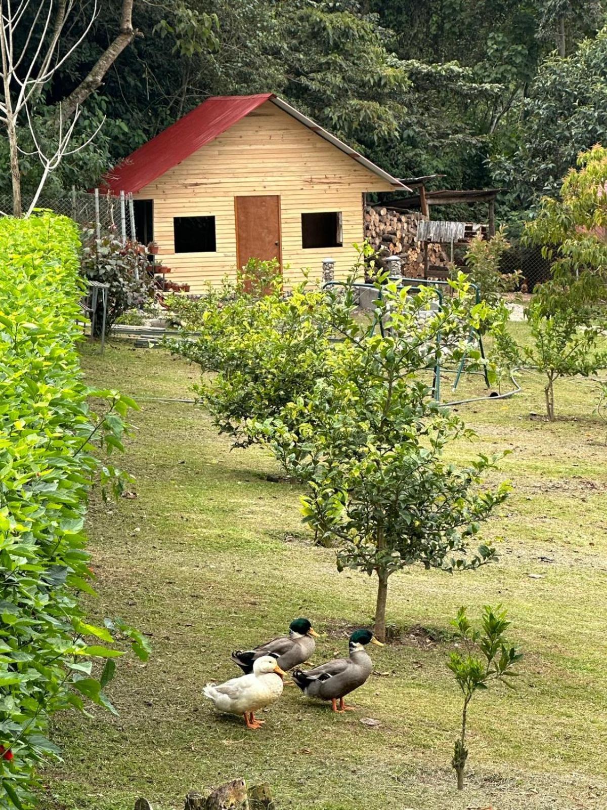 Hassinger Ranch Cabanas 奥克萨潘帕 外观 照片